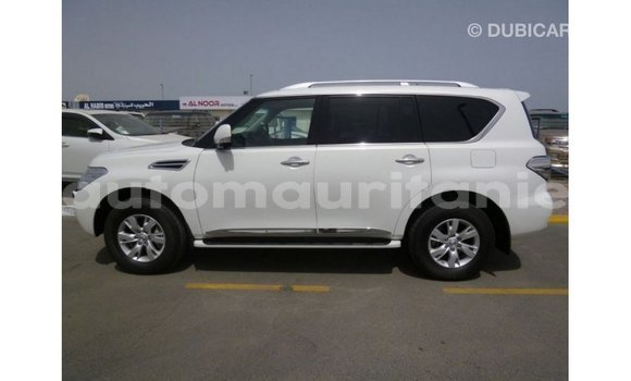 Acheter Import Voiture Nissan Patrol Blanc à Import - Dubai, Adrar Acheter Import Voiture Nissan Patrol Blanc à Import - Dubai, Adrar
