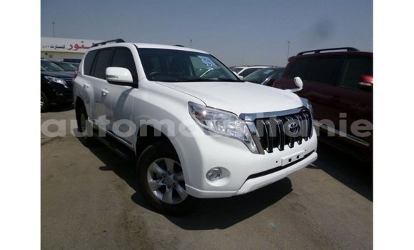 Acheter Import Voiture Toyota Prado Blanc à Import - Dubai, Adrar Acheter Import Voiture Toyota Prado Blanc à Import - Dubai, Adrar