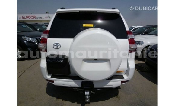 Acheter Import Voiture Toyota Prado Blanc à Import - Dubai, Adrar Acheter Import Voiture Toyota Prado Blanc à Import - Dubai, Adrar