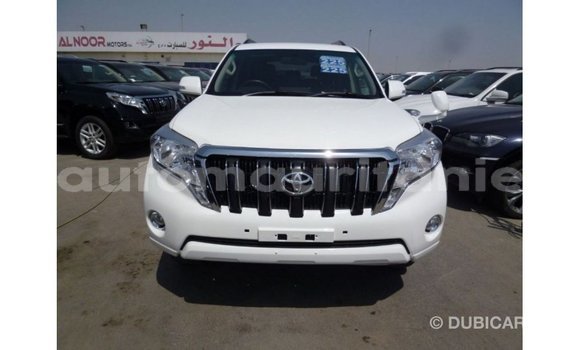 Acheter Import Voiture Toyota Prado Blanc à Import - Dubai, Adrar Acheter Import Voiture Toyota Prado Blanc à Import - Dubai, Adrar