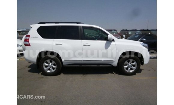 Acheter Import Voiture Toyota Prado Blanc à Import - Dubai, Adrar Acheter Import Voiture Toyota Prado Blanc à Import - Dubai, Adrar