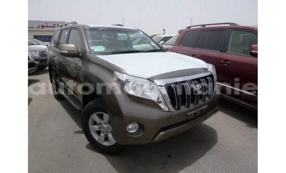 Acheter Import Voiture Toyota Prado Marron à Import - Dubai, Adrar Acheter Import Voiture Toyota Prado Marron à Import - Dubai, Adrar