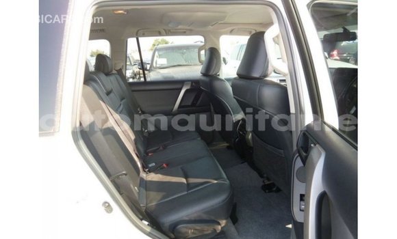 Buy Import Toyota Prado White Car in Import - Dubai in Adrar Buy Import Toyota Prado White Car in Import - Dubai in Adrar