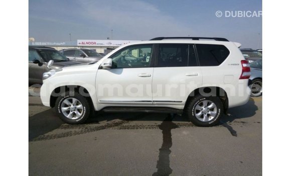 Buy Import Toyota Prado White Car in Import - Dubai in Adrar Buy Import Toyota Prado White Car in Import - Dubai in Adrar