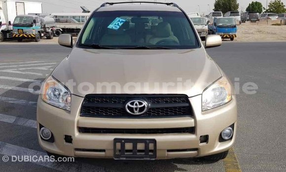 Acheter Import Voiture Toyota RAV4 Autre à Import - Dubai, Adrar Acheter Import Voiture Toyota RAV4 Autre à Import - Dubai, Adrar