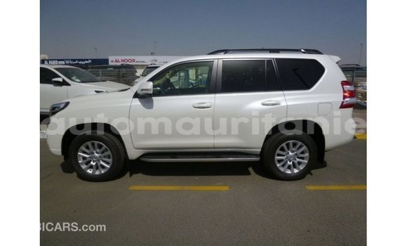 Acheter Import Voiture Toyota Prado Blanc à Import - Dubai, Adrar Acheter Import Voiture Toyota Prado Blanc à Import - Dubai, Adrar