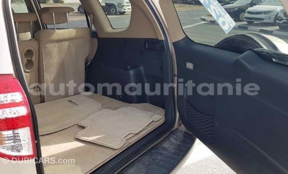 Acheter Import Voiture Toyota RAV4 Autre à Import - Dubai, Adrar Acheter Import Voiture Toyota RAV4 Autre à Import - Dubai, Adrar