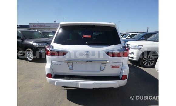 Acheter Import Voiture Lexus LX Blanc à Import - Dubai, Adrar Acheter Import Voiture Lexus LX Blanc à Import - Dubai, Adrar