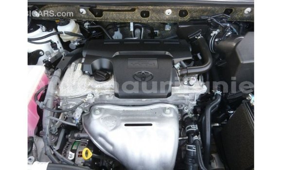 Buy Import Toyota HiAce White Truck in Import - Dubai in Adrar Buy Import Toyota HiAce White Truck in Import - Dubai in Adrar