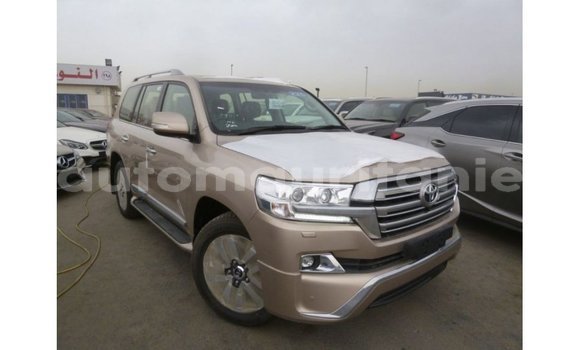 Buy Import Toyota Land Cruiser Other Car in Import - Dubai in Adrar Buy Import Toyota Land Cruiser Other Car in Import - Dubai in Adrar