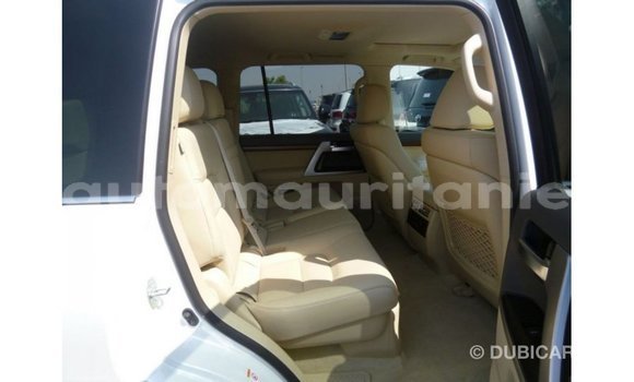Acheter Import Voiture Toyota Land Cruiser Blanc à Import - Dubai, Adrar Acheter Import Voiture Toyota Land Cruiser Blanc à Import - Dubai, Adrar