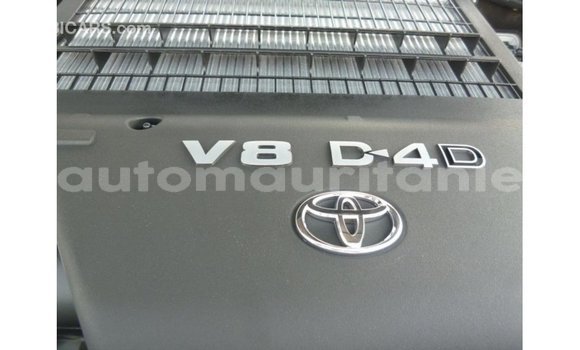 Acheter Import Voiture Toyota Land Cruiser Blanc à Import - Dubai, Adrar Acheter Import Voiture Toyota Land Cruiser Blanc à Import - Dubai, Adrar