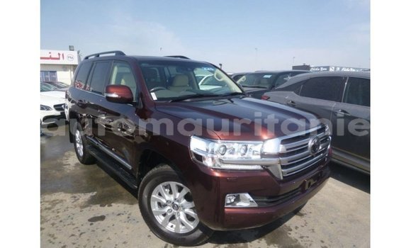 Acheter Import Voiture Toyota Land Cruiser Marron à Import - Dubai, Adrar Acheter Import Voiture Toyota Land Cruiser Marron à Import - Dubai, Adrar