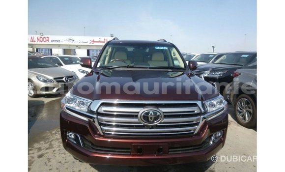 Acheter Import Voiture Toyota Land Cruiser Marron à Import - Dubai, Adrar Acheter Import Voiture Toyota Land Cruiser Marron à Import - Dubai, Adrar