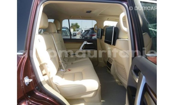 Acheter Import Voiture Toyota Land Cruiser Marron à Import - Dubai, Adrar Acheter Import Voiture Toyota Land Cruiser Marron à Import - Dubai, Adrar
