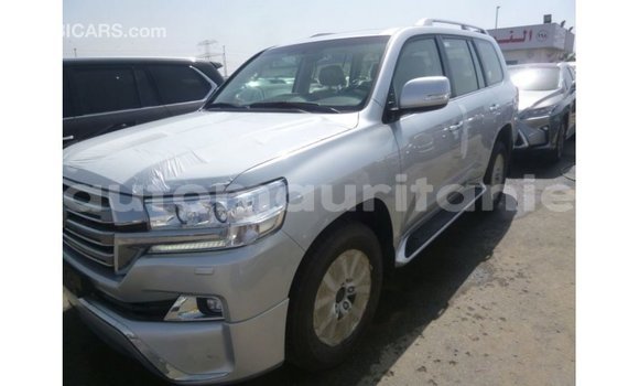 Acheter Import Voiture Toyota Land Cruiser Autre à Import - Dubai, Adrar Acheter Import Voiture Toyota Land Cruiser Autre à Import - Dubai, Adrar