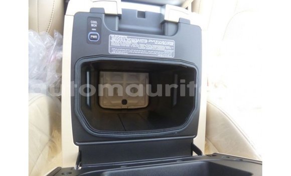 Acheter Import Voiture Toyota Land Cruiser Autre à Import - Dubai, Adrar Acheter Import Voiture Toyota Land Cruiser Autre à Import - Dubai, Adrar