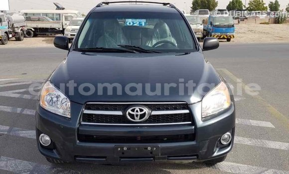 Buy Import Toyota RAV4 Green Car in Import - Dubai in Adrar Buy Import Toyota RAV4 Green Car in Import - Dubai in Adrar
