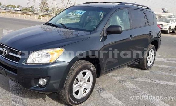 Buy Import Toyota RAV4 Green Car in Import - Dubai in Adrar Buy Import Toyota RAV4 Green Car in Import - Dubai in Adrar