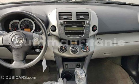 Buy Import Toyota RAV4 Green Car in Import - Dubai in Adrar Buy Import Toyota RAV4 Green Car in Import - Dubai in Adrar
