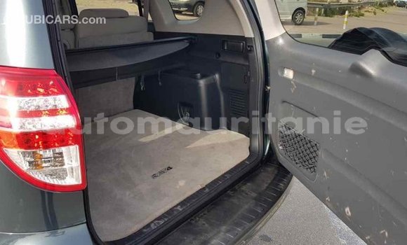 Buy Import Toyota RAV4 Green Car in Import - Dubai in Adrar Buy Import Toyota RAV4 Green Car in Import - Dubai in Adrar