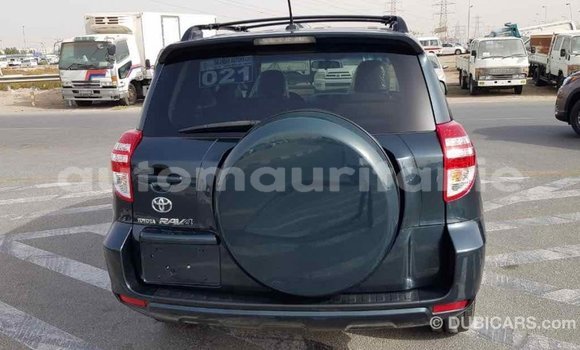 Buy Import Toyota RAV4 Green Car in Import - Dubai in Adrar Buy Import Toyota RAV4 Green Car in Import - Dubai in Adrar
