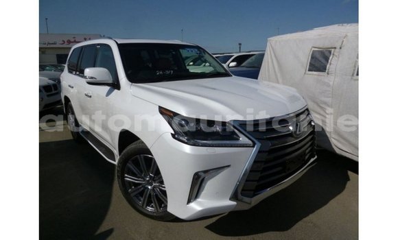 Buy Import Lexus LX White Car in Import - Dubai in Adrar Buy Import Lexus LX White Car in Import - Dubai in Adrar