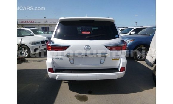 Buy Import Lexus LX White Car in Import - Dubai in Adrar Buy Import Lexus LX White Car in Import - Dubai in Adrar