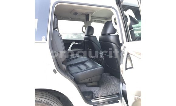 Acheter Import Voiture Toyota Land Cruiser Blanc à Import - Dubai, Adrar Acheter Import Voiture Toyota Land Cruiser Blanc à Import - Dubai, Adrar