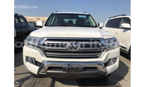 Acheter Import Voiture Toyota Land Cruiser Blanc à Import - Dubai, Adrar Acheter Import Voiture Toyota Land Cruiser Blanc à Import - Dubai, Adrar