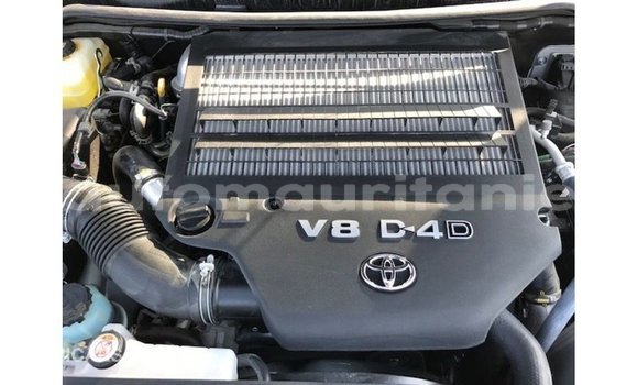 Acheter Import Voiture Toyota Land Cruiser Blanc à Import - Dubai, Adrar Acheter Import Voiture Toyota Land Cruiser Blanc à Import - Dubai, Adrar