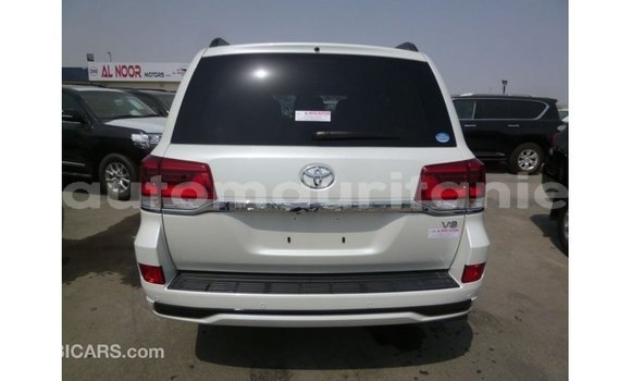 Acheter Import Voiture Toyota Land Cruiser Blanc à Import - Dubai, Adrar Acheter Import Voiture Toyota Land Cruiser Blanc à Import - Dubai, Adrar