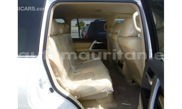 Acheter Import Voiture Toyota Land Cruiser Blanc à Import - Dubai, Adrar Acheter Import Voiture Toyota Land Cruiser Blanc à Import - Dubai, Adrar