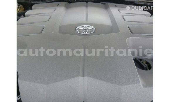 Acheter Import Voiture Toyota Land Cruiser Blanc à Import - Dubai, Adrar Acheter Import Voiture Toyota Land Cruiser Blanc à Import - Dubai, Adrar