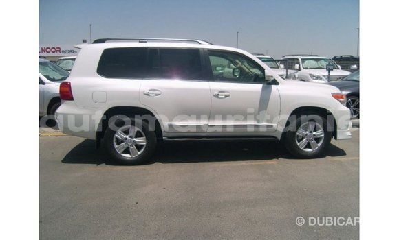 Acheter Import Voiture Toyota Land Cruiser Blanc à Import - Dubai, Adrar Acheter Import Voiture Toyota Land Cruiser Blanc à Import - Dubai, Adrar