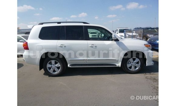 Acheter Import Voiture Toyota Land Cruiser Blanc à Import - Dubai, Adrar Acheter Import Voiture Toyota Land Cruiser Blanc à Import - Dubai, Adrar