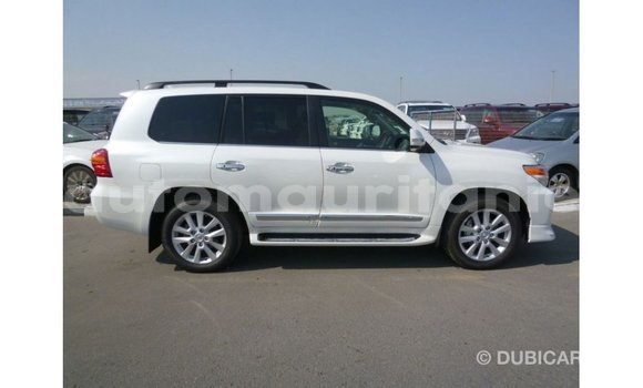 Acheter Import Voiture Toyota Land Cruiser Blanc à Import - Dubai, Adrar Acheter Import Voiture Toyota Land Cruiser Blanc à Import - Dubai, Adrar