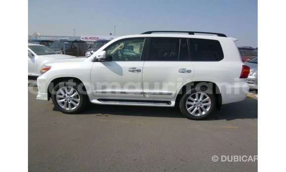 Acheter Import Voiture Toyota Land Cruiser Blanc à Import - Dubai, Adrar Acheter Import Voiture Toyota Land Cruiser Blanc à Import - Dubai, Adrar