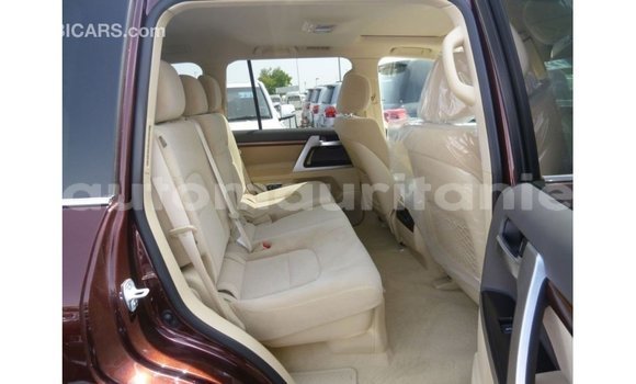 Buy Import Toyota Land Cruiser Other Car in Import - Dubai in Adrar Buy Import Toyota Land Cruiser Other Car in Import - Dubai in Adrar