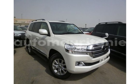 Acheter Import Voiture Toyota Land Cruiser Blanc à Import - Dubai, Adrar Acheter Import Voiture Toyota Land Cruiser Blanc à Import - Dubai, Adrar