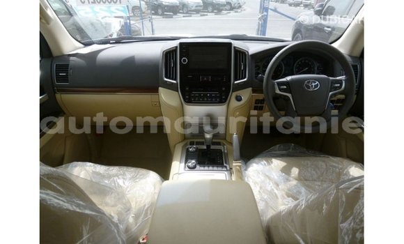 Acheter Import Voiture Toyota Land Cruiser Blanc à Import - Dubai, Adrar Acheter Import Voiture Toyota Land Cruiser Blanc à Import - Dubai, Adrar