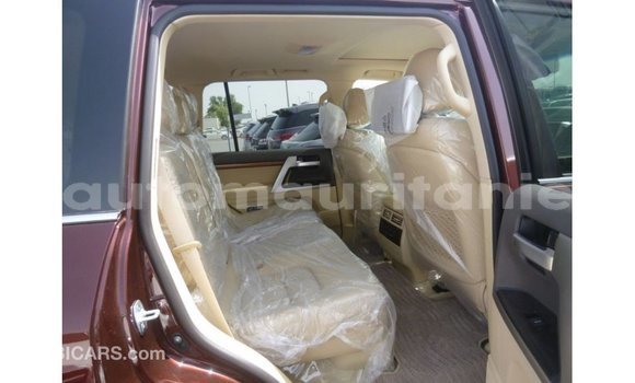 Acheter Import Voiture Toyota Land Cruiser Autre à Import - Dubai, Adrar Acheter Import Voiture Toyota Land Cruiser Autre à Import - Dubai, Adrar