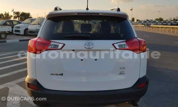Acheter Import Voiture Toyota RAV4 Blanc à Import - Dubai, Adrar Acheter Import Voiture Toyota RAV4 Blanc à Import - Dubai, Adrar
