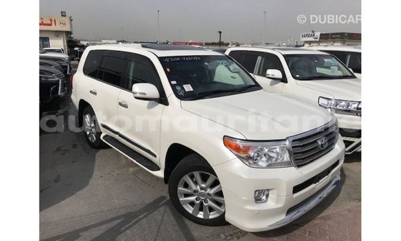 Acheter Import Voiture Toyota Land Cruiser Blanc à Import - Dubai, Adrar Acheter Import Voiture Toyota Land Cruiser Blanc à Import - Dubai, Adrar