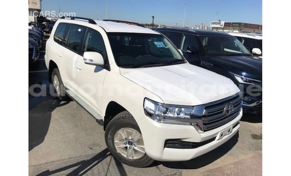 Acheter Import Voiture Toyota Land Cruiser Blanc à Import - Dubai, Adrar Acheter Import Voiture Toyota Land Cruiser Blanc à Import - Dubai, Adrar