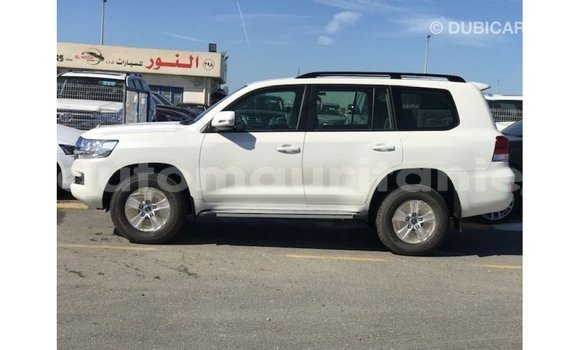 Acheter Import Voiture Toyota Land Cruiser Blanc à Import - Dubai, Adrar Acheter Import Voiture Toyota Land Cruiser Blanc à Import - Dubai, Adrar