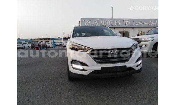 Acheter Import Voiture Hyundai Tucson Blanc à Import - Dubai, Adrar Acheter Import Voiture Hyundai Tucson Blanc à Import - Dubai, Adrar