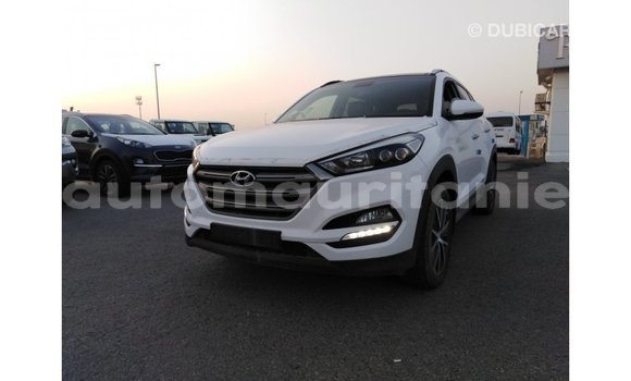 Acheter Import Voiture Hyundai Tucson Blanc à Import - Dubai, Adrar Acheter Import Voiture Hyundai Tucson Blanc à Import - Dubai, Adrar