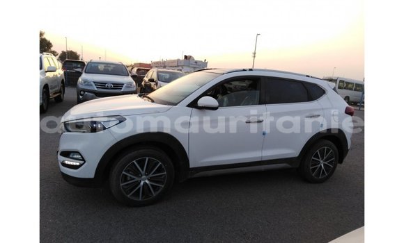 Acheter Import Voiture Hyundai Tucson Blanc à Import - Dubai, Adrar Acheter Import Voiture Hyundai Tucson Blanc à Import - Dubai, Adrar