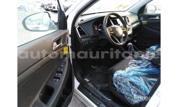 Acheter Import Voiture Hyundai Tucson Blanc à Import - Dubai, Adrar Acheter Import Voiture Hyundai Tucson Blanc à Import - Dubai, Adrar